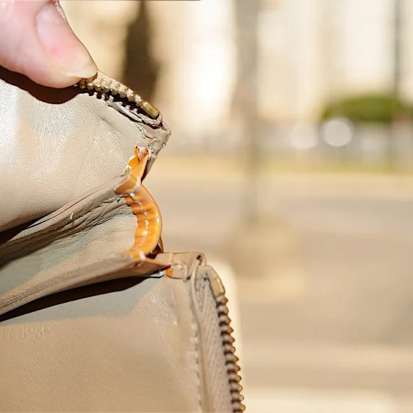 LOUIS VUITTON
Noisette Monogram Vernis Lexington Pochette Bag - Picture 7 of 10